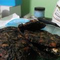 Cooksnap dari Khaira untuk resep Dendeng Paru KW (dendeng daun singkong)