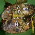 Cooksnap dari Echa Caca untuk resep Asem-Asem Mujaer