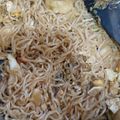 Cooksnap dari Cornelia untuk resep Mie shirataki tumis #debm #keto friendly