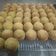 Cooksnap dari Pawon Ngebul (Eka Yulian) untuk resep Eggless Pandan Cup Bread