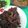 Cooksnap dari Cindy Melissa Angelia untuk resep Belut Bumbu Madura