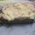 El cooksnap de Priscila Romano de Ortega cuando hizo Milanesas de soja (con texturizado de soja).