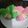 Cooksnap dari Wiwik Wigati untuk resep Bolu Kukus Mekar Pandan-Coklat