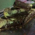 Cooksnap dari mikaila untuk resep Bolu zebra magic com