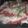 El cooksnap de Lucía 🌸 cuando hizo Pescado al horno SS (Sencillo y Sabroso 🐟✨).