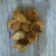 Cooksnap dari wiwi hans untuk resep Terigu goreng isi gulmer