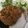 รูป Cooksnap ของ BOLA ☺ เมื่อเขาทำ น้ำพริกปลาทู