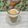 Cooksnap dari Nyanyah untuk resep Roasted Milk Tea