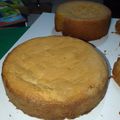 Ayodele precious's cooksnap of when they made Vanilla sponge cake.