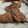 El cooksnap de Chus cuando hizo Filetes de lomo blanco con cerveza de limón.