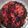 El cooksnap de Carmen Gutiérrez Luengo cuando hizo Tarta de moras, frambuesas y arándanos.