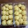 Cooksnap dari hayizam untuk resep Nastar Lumer Isi Patah (Pepaya Mentah / Pepaya Muda)