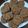 El cooksnap de emy perez cuando hizo Galletas de chocolate‼🍫🍪.