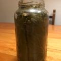 El cooksnap de Agustina cuando hizo Conserva de hojas de Parra.