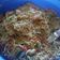 Cooksnap dari Iik Nu Amoorea untuk resep LUMPIA isi Soun / Bihun (#pr_risolesdkk)
