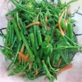 麗麗 的 腐乳龍鬚菜 cooksnap