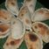 El cooksnap de Ale Nadia Brito cuando hizo Empanadas tucumanas.