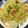 Sumedha Joshi's cooksnap of when they made दडपे पोहे (dadpe pohe recipe in marathi).