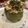 Beka Zultanky's cooksnap of when they made Skinny Taco Stuffed Peppers.