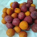 Cooksnap dari Zenzen_dame untuk resep Bola ubi kopong