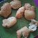Cooksnap dari Santy untuk resep Gorengan tepung terigu dan kelapa parut