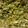 aparna mukundan's cooksnap of when they made Snake gourd subji.