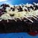 Cooksnap dari Deivi Marly untuk resep Brownies kukus layer ala amanda