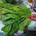 El cooksnap de J . David Paniagua El Manquirri cuando hizo Acelgas a la extremeña por el chef David.