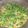 Cooksnap dari dittaf untuk resep Tumis Kangkung Terasi Pedas