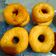 Cooksnap dari Chusnul Chotimah untuk resep Donat Kentang Lembut & Empuk sampai Besok