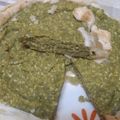 Cooksnap de Sandra Pedrosa quando cozinhou Ke tarte de fava deliciosa.