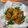 Cooksnap dari diana untuk resep Risol Isi Wortel dan Kentang