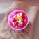 Cooksnap dari Winda`s Kitchen untuk resep 3. es buah naga merah #godarecook_zweger