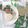 Cooksnap dari Tifanny untuk resep Hainanese Chicken Rice (Nasi Ayam Hainan)