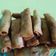 Cooksnap dari Imha Ekawati Bayan untuk resep Lumpia goreng isi sayur