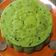 Cooksnap dari Fahmi Handsom untuk resep Bolu Kukus Pandan Oreo