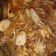 Cooksnap dari Nurul_isti untuk resep Baby octopus asem manis