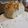 annie.ellison.1441's cooksnap of when they made Dutch Oven Everything Bread.