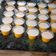 Cooksnap dari khoir umi Laksana untuk resep Puding Labu Kuning (agar-agar waluh)