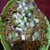 Cooksnap dari Mungky Melaningrum untuk resep Mie Goreng / Fried Noodle
