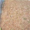 El cooksnap de Charo Puertas Tárraga cuando hizo Baklava{pastel árabe}.