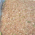 El cooksnap de Charo Puertas Tárraga cuando hizo Baklava{pastel árabe}.