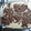 El cooksnap de Solitary Wolf cuando hizo Tiramisú.