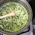 El cooksnap de Cecy Santucho cuando hizo Salsa de espinacas.