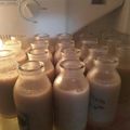Cooksnap dari Lurintan Indah Ratnaningrum untuk resep Puding sedot