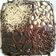 Cooksnap dari Arina Diori untuk resep Fudgy brownies