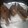 Maggie Karis's cooksnap of when they made Turmeric fried fish.