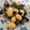 El cooksnap de Sandra cuando hizo Revuelto de acelgas con cebolla caramelizada.