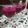 Cooksnap dari Lyn untuk resep Jus Buah Naga