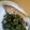 Cooksnap dari l_artnine untuk resep Pencok Kacang Panjang